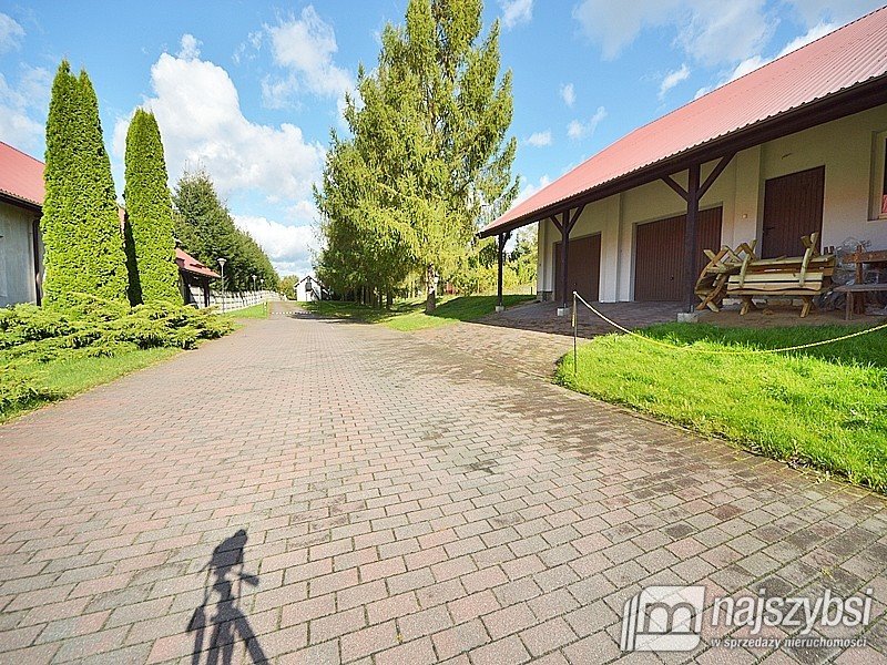 Lokal użytkowy na wynajem Lubieszyn, Wieś  650m2 Foto 15