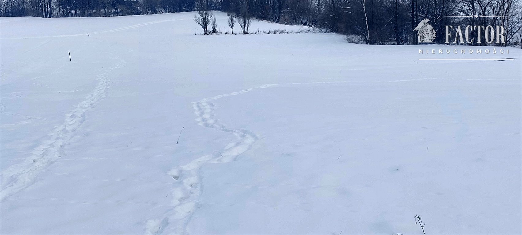 Działka budowlana na sprzedaż Łużna  4 000m2 Foto 1