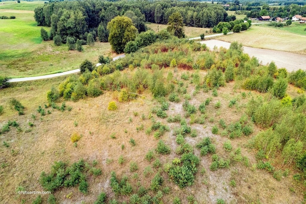 Działka rolna na sprzedaż Elganowo  23 300m2 Foto 11