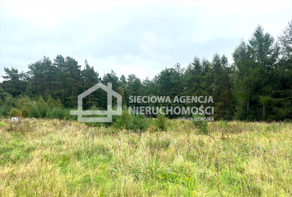 Działka budowlana na sprzedaż Przodkowo  1 150m2 Foto 1