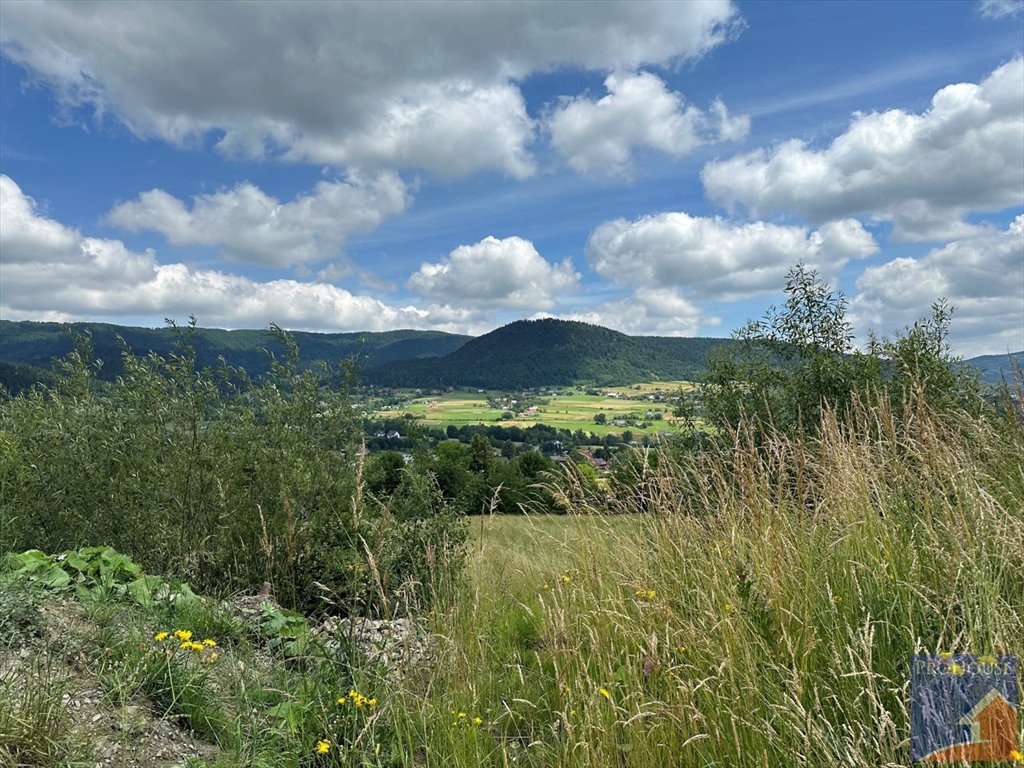 Działka budowlana na sprzedaż Pisarzowa  7 200m2 Foto 19