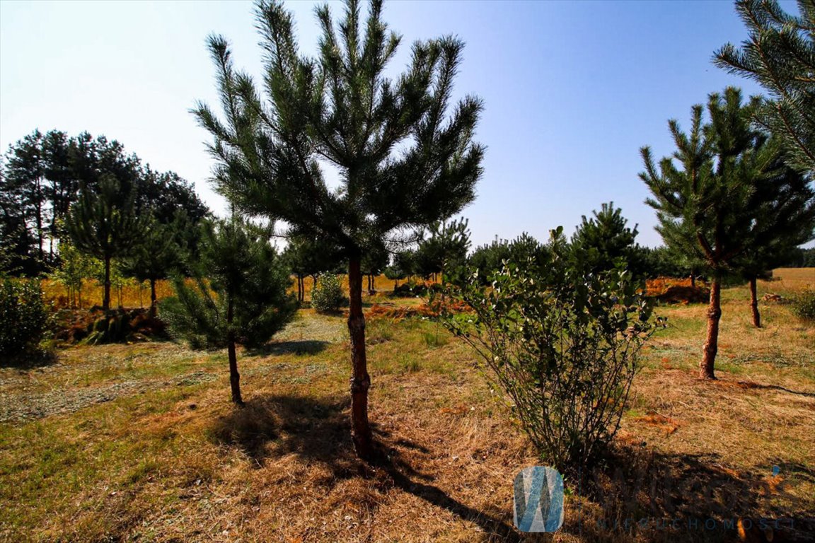 Działka budowlana na sprzedaż Sitno  1 000m2 Foto 4