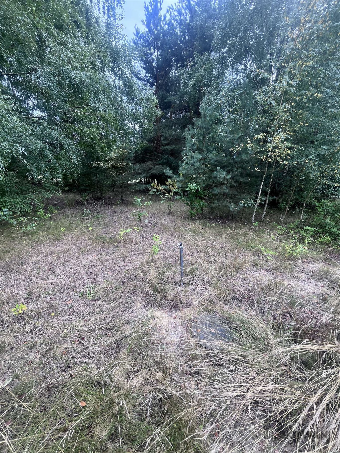 Działka budowlana na sprzedaż Zalesie, Zalesie, Grodziska  1 000m2 Foto 2