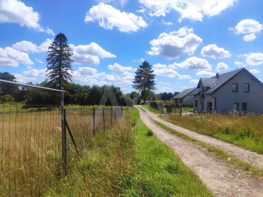 Działka budowlana na sprzedaż Tokary, DOLNA  1 648m2 Foto 10