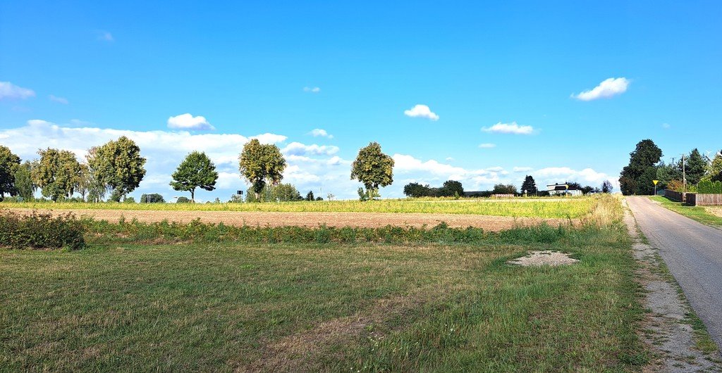 Działka budowlana na sprzedaż Tarło-Kolonia  1 827m2 Foto 2