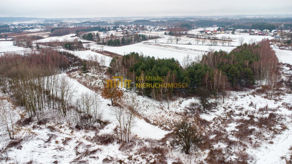 Działka leśna na sprzedaż Jadachy  5 100m2 Foto 3