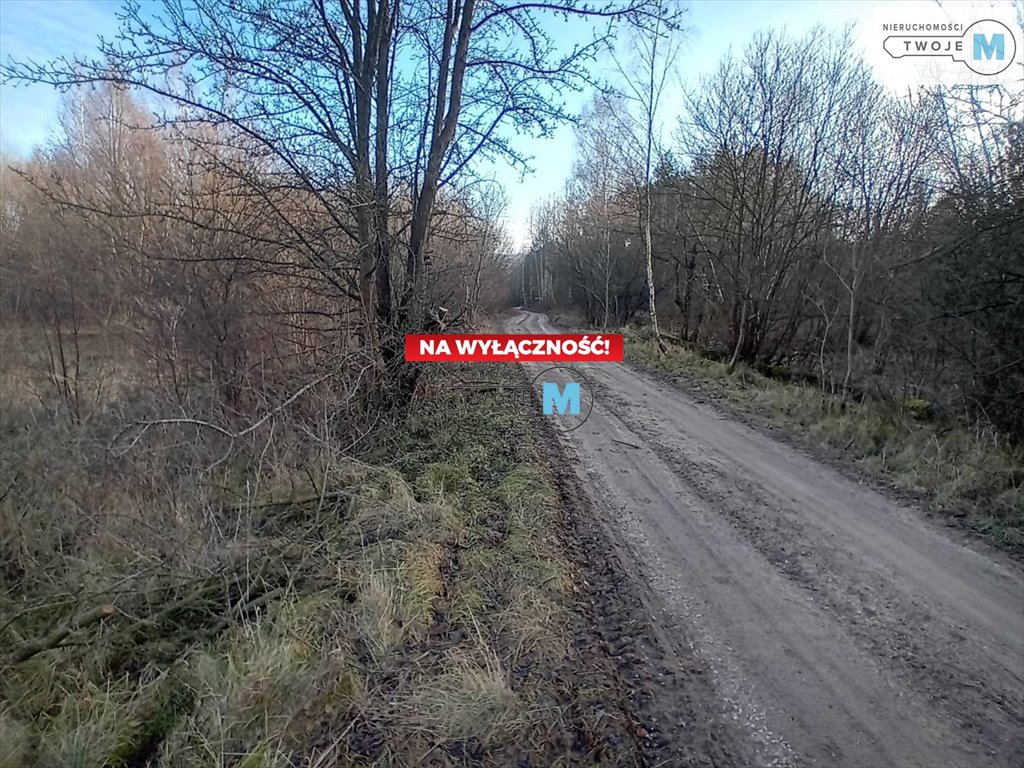 Działka budowlana na sprzedaż Daleszyce, Mójcza, Mójcza  17 841m2 Foto 3