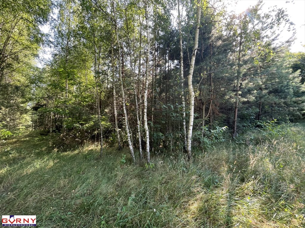 Działka inna na sprzedaż Stobnica-Piła  7 300m2 Foto 4