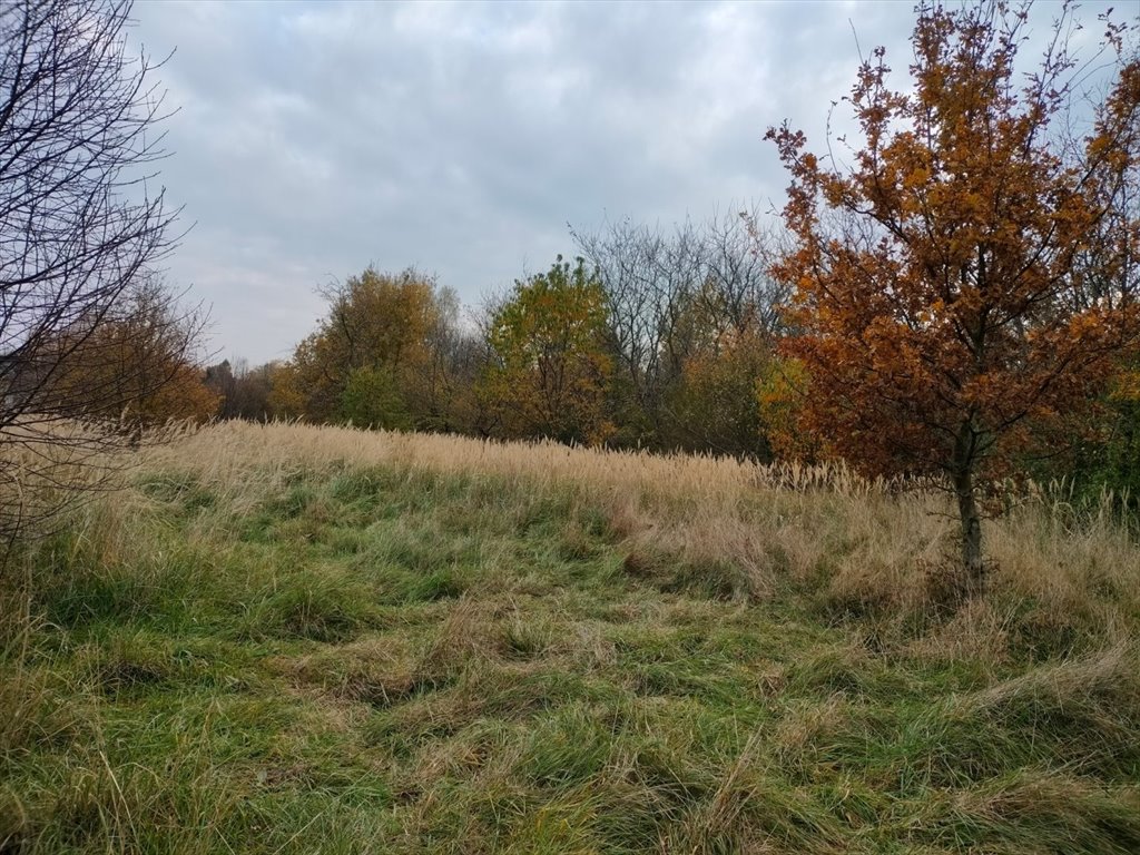 Działka budowlana na sprzedaż Kielce, Dąbrowa  860m2 Foto 3