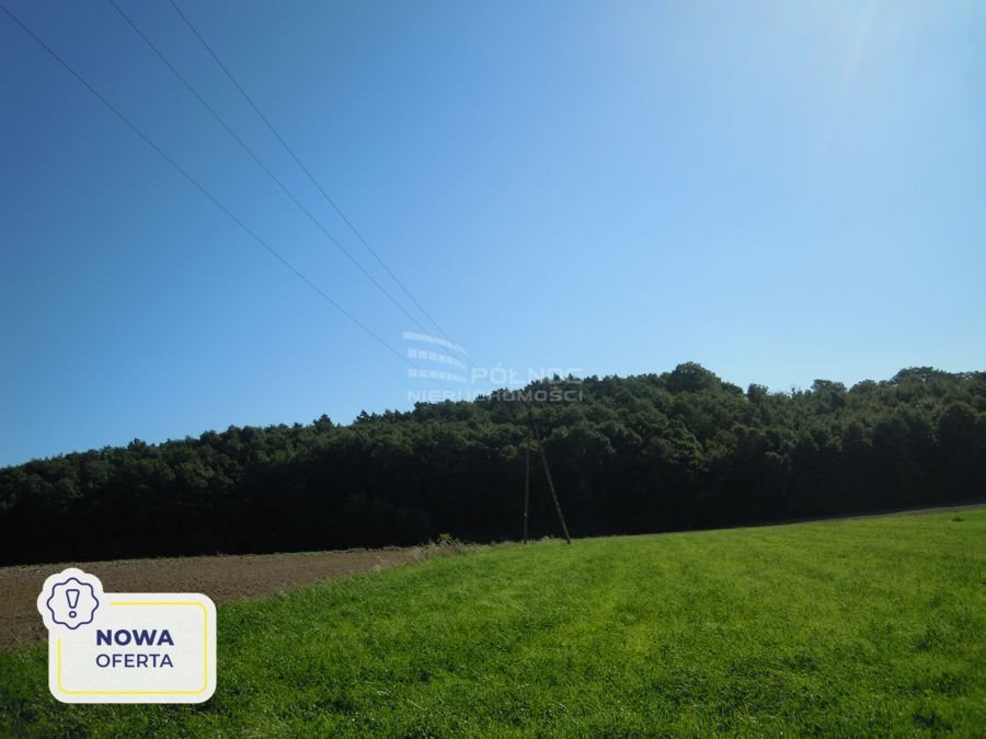 Działka budowlana na sprzedaż Zalesie  6 000m2 Foto 1