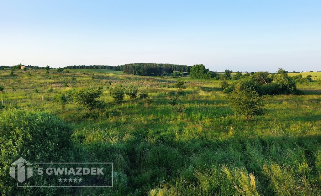 Działka inwestycyjna na sprzedaż Dalęcino  1 588m2 Foto 7