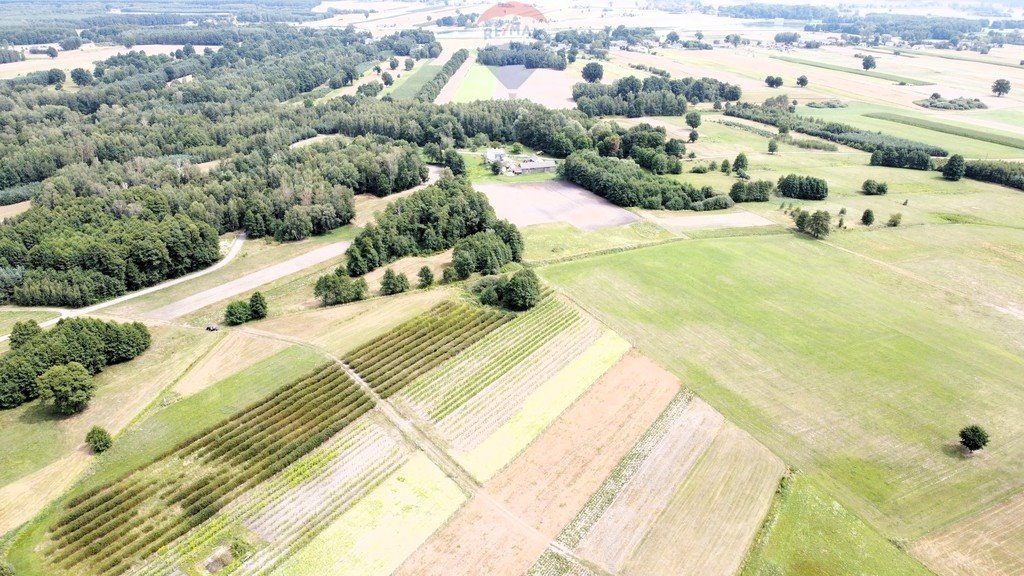 Działka rolna na sprzedaż Ostrownica  18 000m2 Foto 3