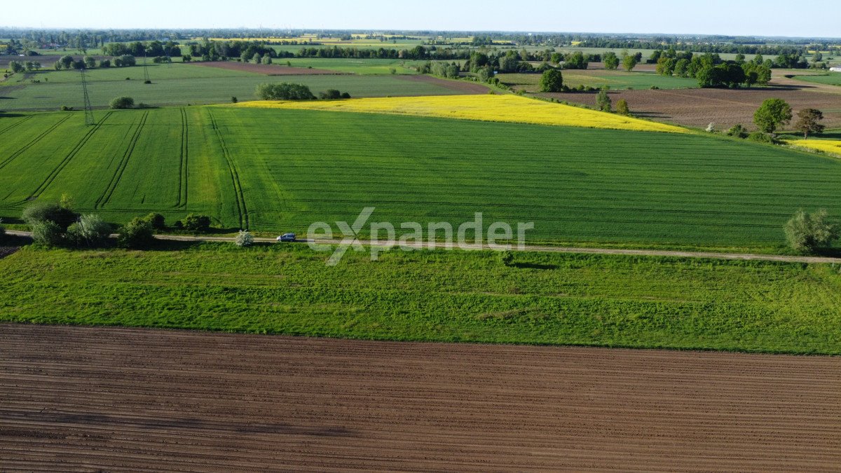 Działka budowlana na sprzedaż Suchy Dąb  3 000m2 Foto 7