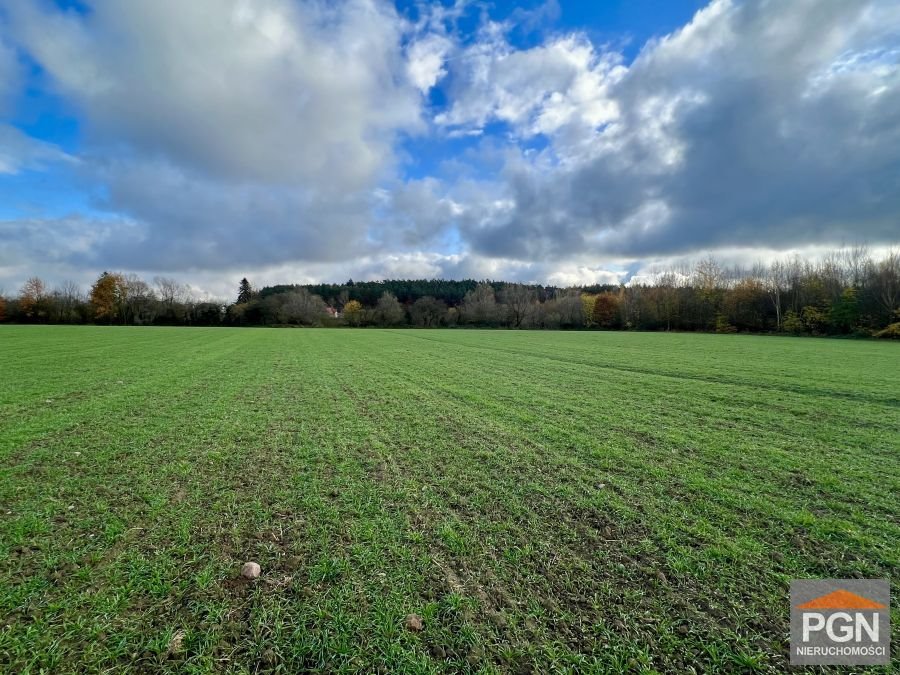 Duża działka rolna 3,39 ha nad Dziwną z wodą i możliwością podziału Laska  33 900m2 Foto 1