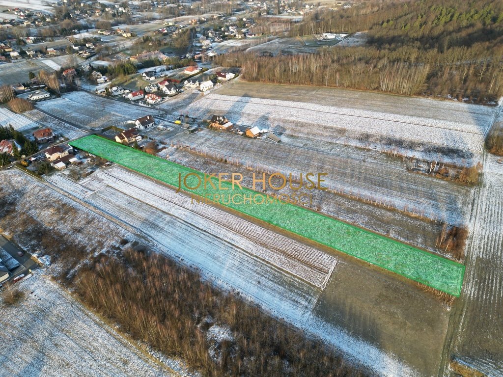 Działka rolna na sprzedaż Borek Stary  5 500m2 Foto 5