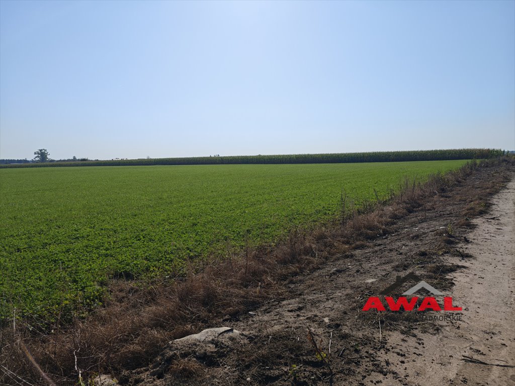 Działka budowlana na sprzedaż Połczyno, Polna  800m2 Foto 5