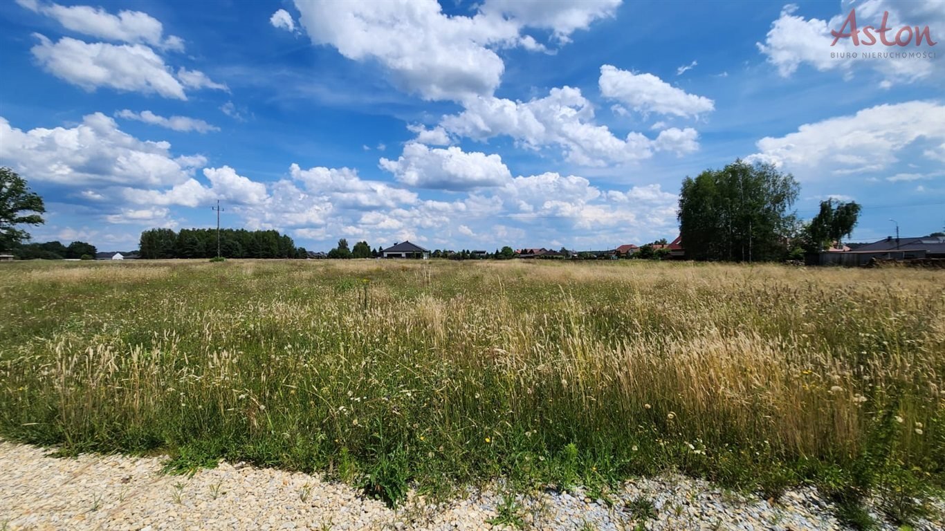 Działka budowlana na sprzedaż Świerczyniec  973m2 Foto 5