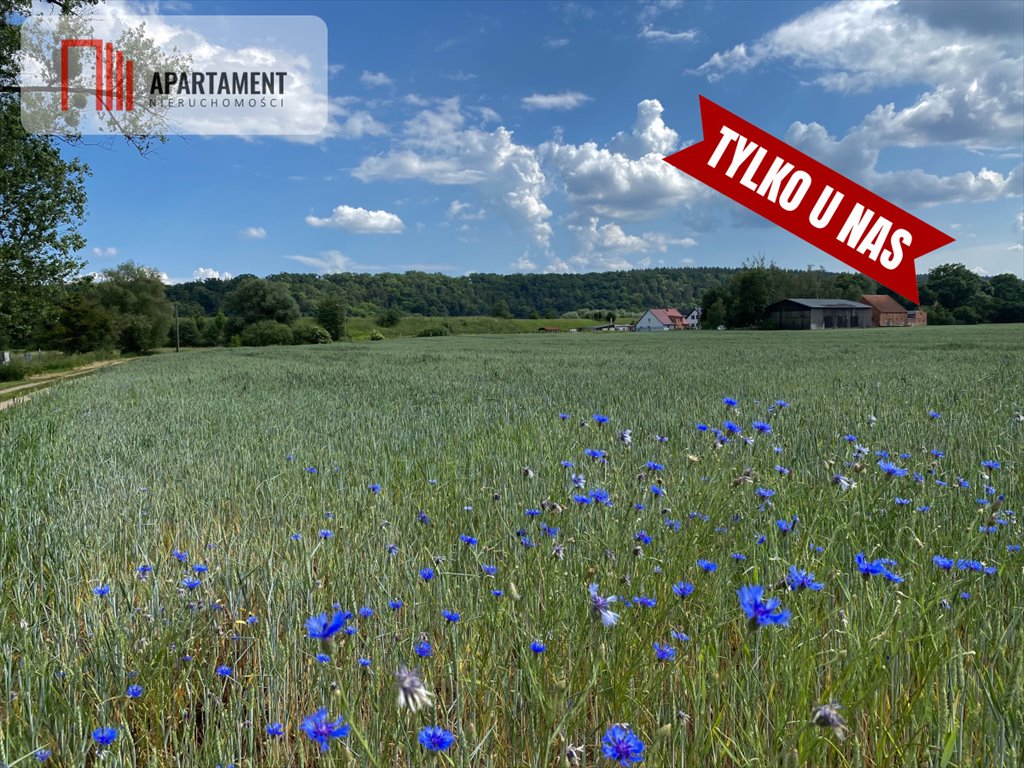 Działka budowlana na sprzedaż Pogorzała Wieś  1 000m2 Foto 1