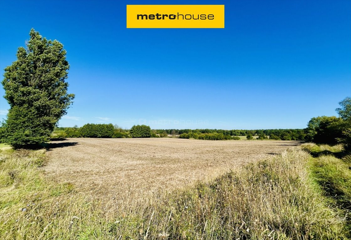 Działka rolna na sprzedaż Poznań, Morasko-Radojewo, Morasko  27 239m2 Foto 1