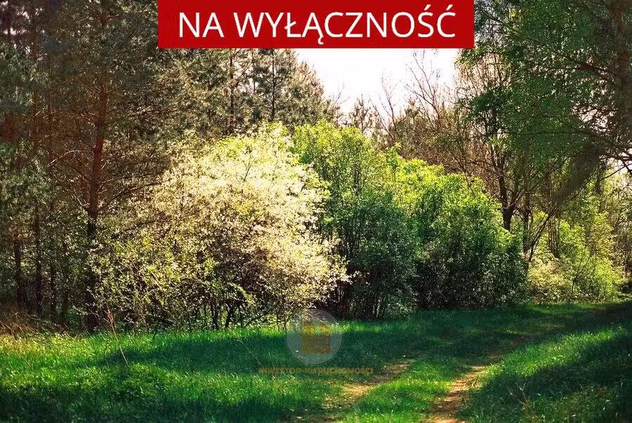 Działka budowlana na sprzedaż Leszno, Podzaborówek  1 000m2 Foto 1