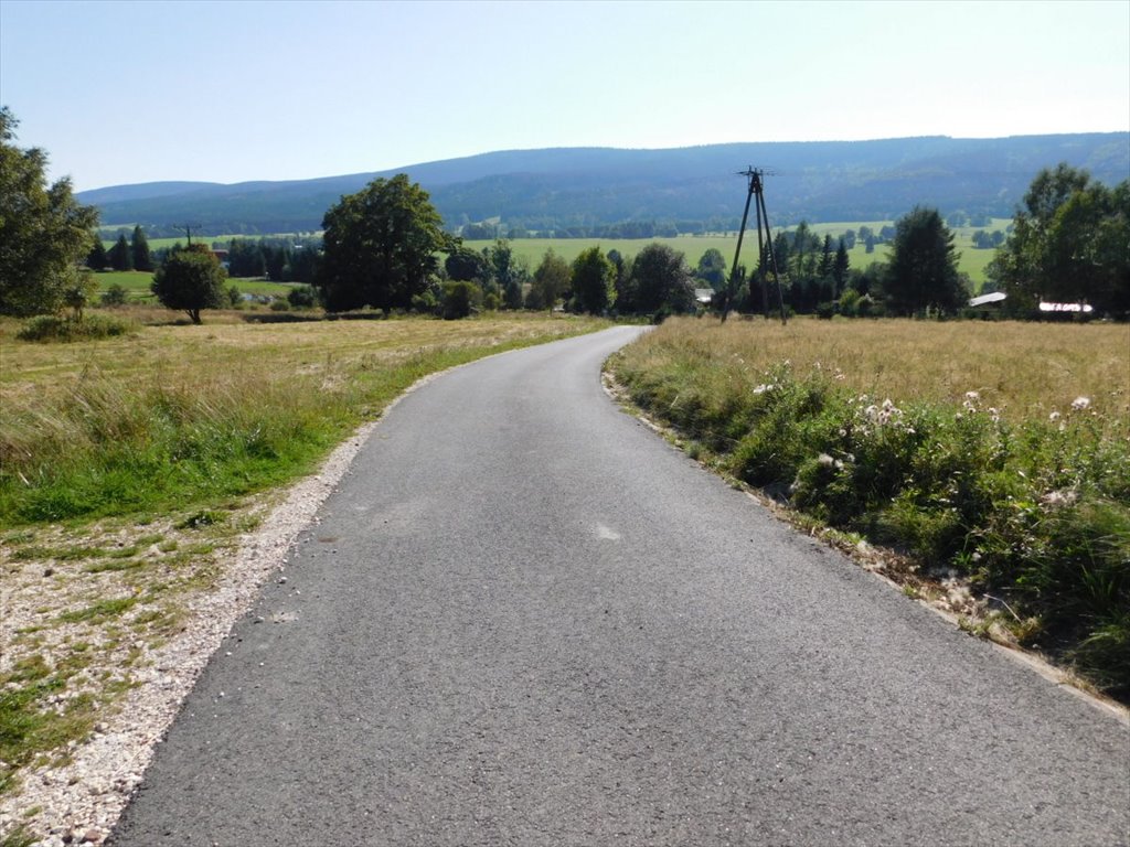 Działka budowlana na sprzedaż Duszniki-Zdrój, Zieleniec  2 326m2 Foto 3