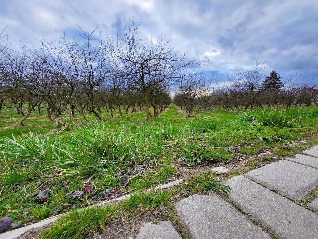 Działka 30 ar w Motyczu, pierwsza linia zabudowy Motycz  3 000m2 Foto 1