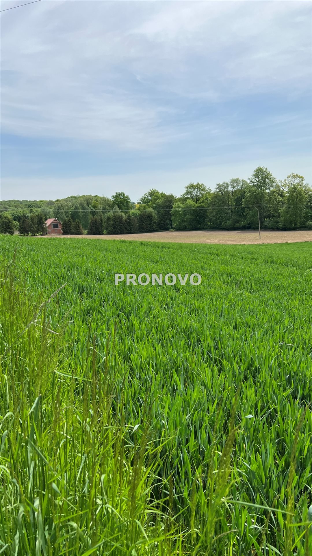 Działka budowlana na sprzedaż Borkowice, Borkowice  3 000m2 Foto 6