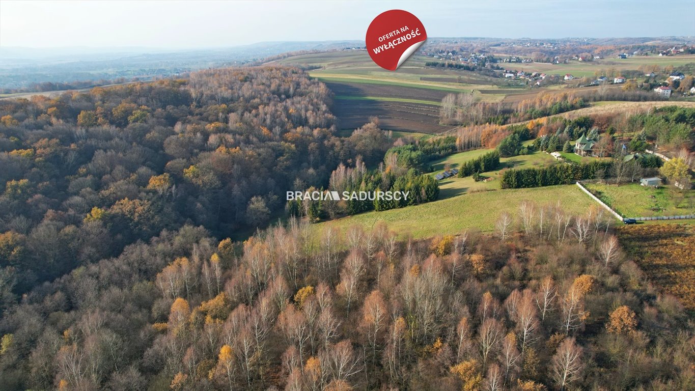 Działka leśna na sprzedaż Wielka Wieś, Szyce, Szyce, Teklomirska  9 398m2 Foto 9