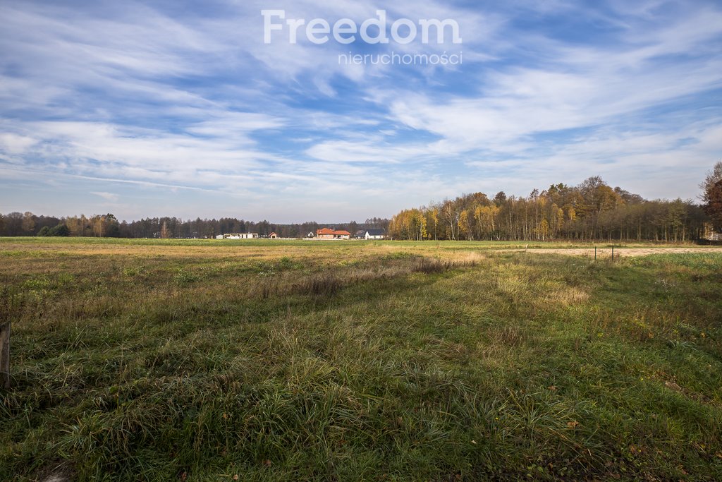 Działka budowlana na sprzedaż Maleniska  6 714m2 Foto 11