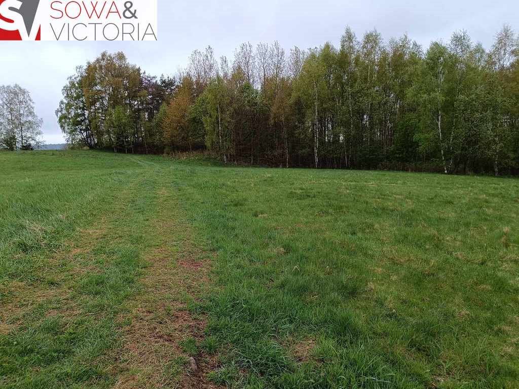 Działka budowlana na sprzedaż Bartnica  3 173m2 Foto 5