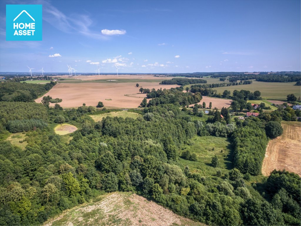 Działka inwestycyjna na sprzedaż Krasin  48 296m2 Foto 11