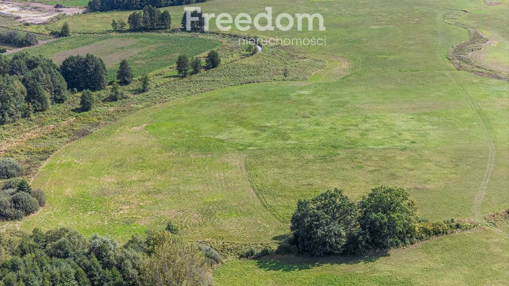 Działka rolna na sprzedaż Ostrówiec  6 567m2 Foto 18