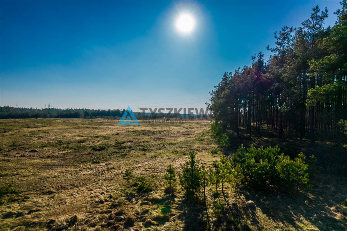 Działka budowlana na sprzedaż Stężyca  1 020m2 Foto 3