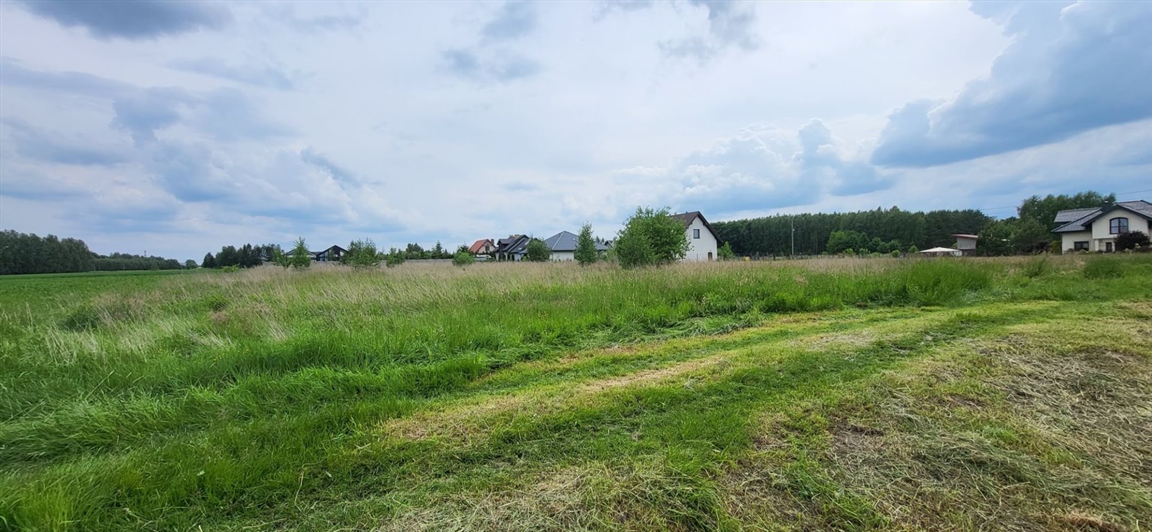 Działka inna na sprzedaż Tymienice  3 948m2 Foto 2