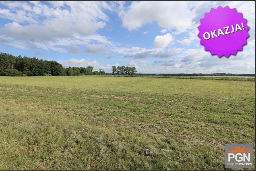 Zapraszam do zakupu działki 3000 m² z warunkami zabudowy Gryfice  3 000m2 Foto 1