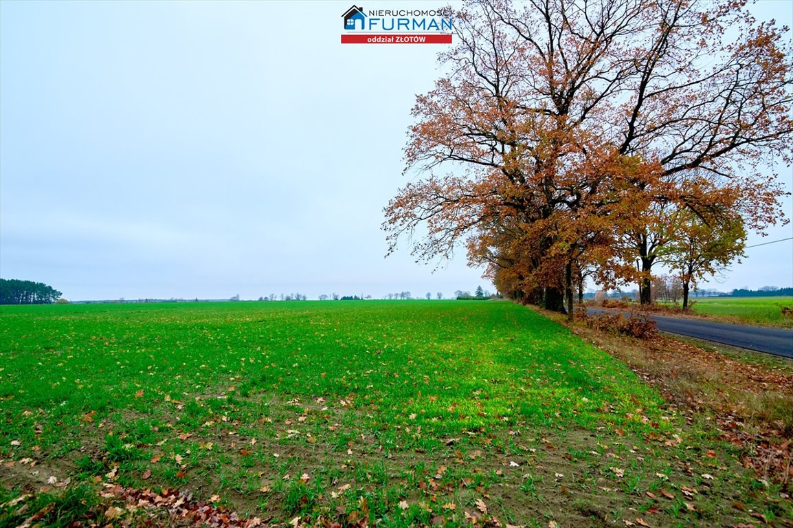 Działka inna na sprzedaż Mały Buczek  1 077m2 Foto 3