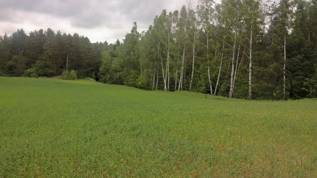 Działka rekreacyjna na sprzedaż Stare Juchy, Stare Juchy  3 000m2 Foto 9