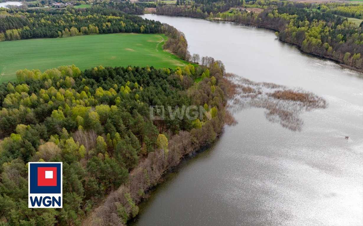 Działka inwestycyjna na sprzedaż Głodowo, Głodowo  25 300m2 Foto 6