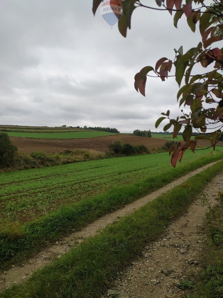 Działka rolna na sprzedaż Sieciechowice  8 096m2 Foto 3