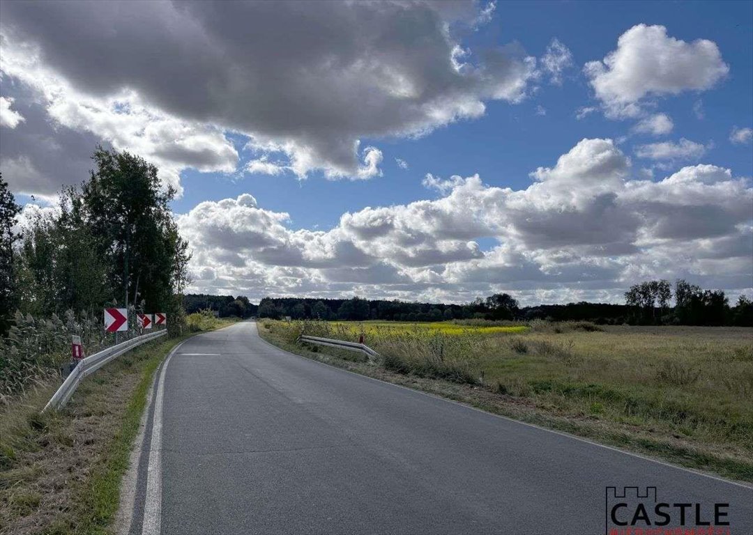 Działka budowlana na sprzedaż Trzciel  1 001m2 Foto 4