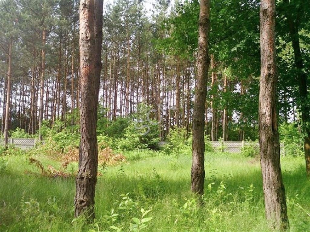 Działka leśna na sprzedaż Józefów  1 739m2 Foto 1