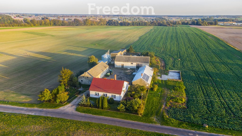 Działka budowlana na sprzedaż Kaliszany  16 000m2 Foto 1