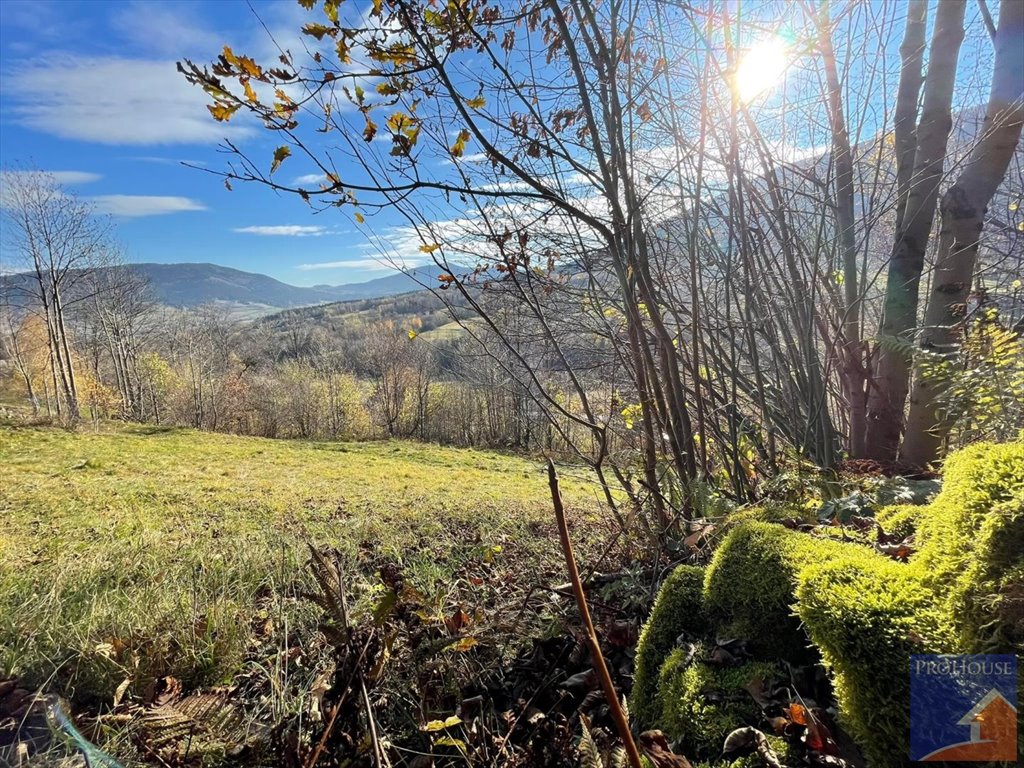 Działka pod zabudowę w Gruszowcu, 2697 m², dostęp do drogi Gruszowiec  2 697m2 Foto 1