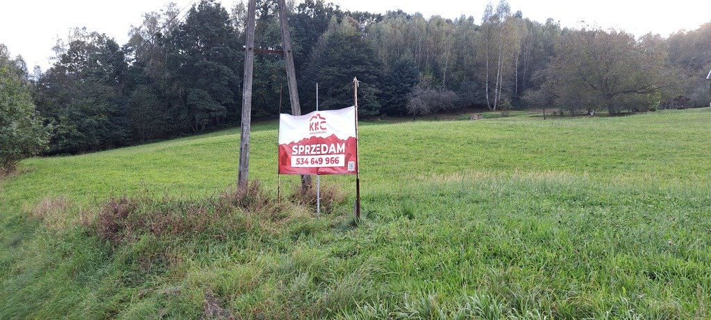 Działka budowlana na sprzedaż Zdonia  1 745m2 Foto 3