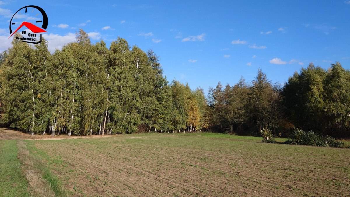 Działka gospodarstwo rolne na sprzedaż Topólka  2 000m2 Foto 2