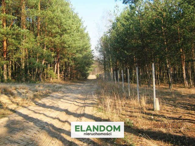 Działka rolna na sprzedaż Ponurzyca 10 000m2 Foto 1 Działka rolna na sprzedaż Ponurzyca 10 000m2 Foto 1