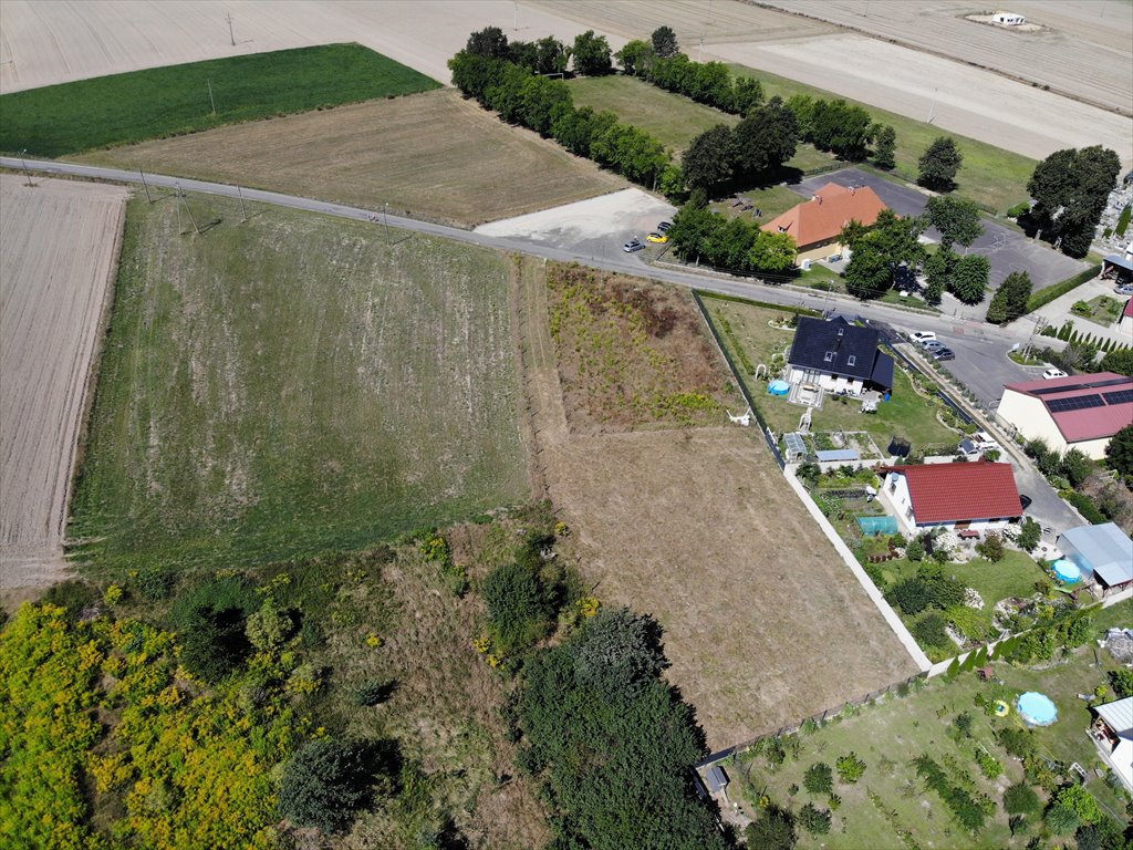 Działka budowlana na sprzedaż Okmiany  1 700m2 Foto 10