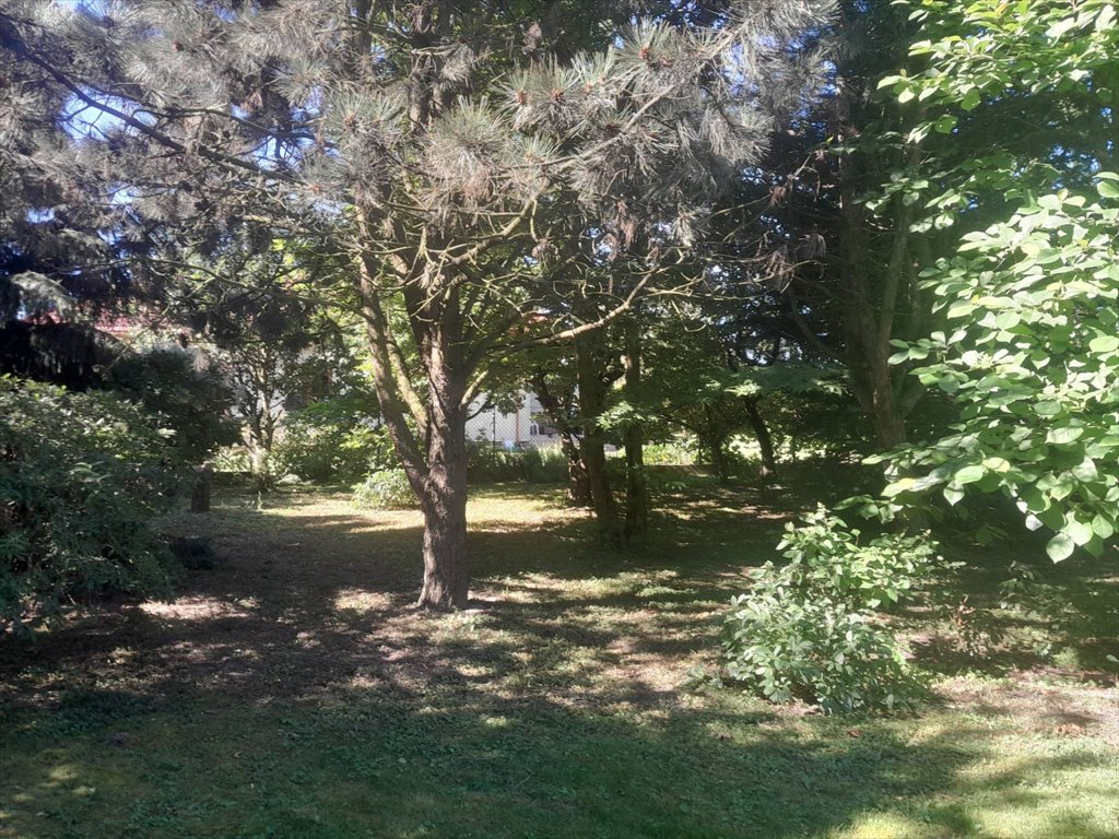 Działka budowlana na sprzedaż Blizne Łaszczyńskiego, Blizne Łaszczyńskiego, Warszawska 37  1 200m2 Foto 1