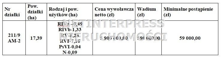Zdjęcie 2