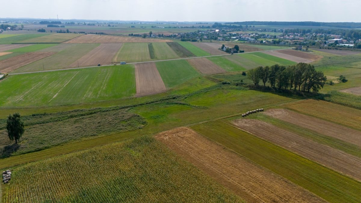 Działka rolna na sprzedaż Sieraków Śląski, Wyzwolenia  6 792m2 Foto 5